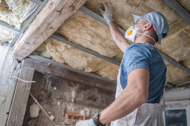 Best Geographic-Specific Insulation Services in Post, TX